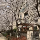 合肥旅游 缩略图 11