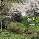 合肥旅游 缩略图 5