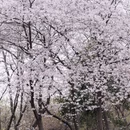 合肥旅游 缩略图 10