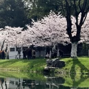 合肥旅游 缩略图 4