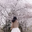 合肥旅游 缩略图 9