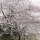 合肥旅游 缩略图 11