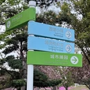 合肥旅游 缩略图 10