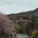 宁波旅游 缩略图 2