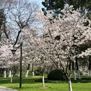 合肥旅游 缩略图 7