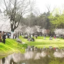 合肥旅游 缩略图 13
