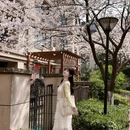 合肥旅游 缩略图 6