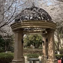 合肥旅游 缩略图 7