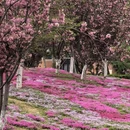 合肥旅游 缩略图 7