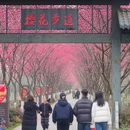 合肥旅游 缩略图 3