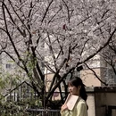 合肥旅游 缩略图 9