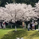 合肥旅游 缩略图 2