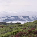 宁波旅游 缩略图 4