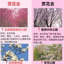 合肥旅游 缩略图 1