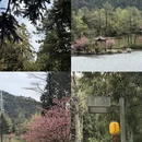 宁波旅游 缩略图 12