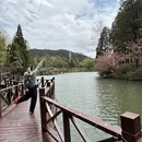 宁波旅游 缩略图 13