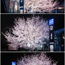 合肥旅游 缩略图 1