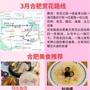 合肥旅游 缩略图 4