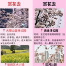 合肥旅游 缩略图 2