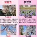 合肥旅游 缩略图 3