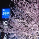 合肥旅游 缩略图 2