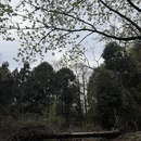 宁波旅游 缩略图 14