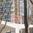 合肥旅游 缩略图 12
