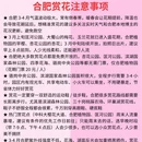 合肥旅游 缩略图 6