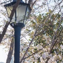 合肥旅游 缩略图 14