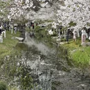 合肥旅游 缩略图 1