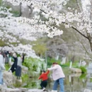 合肥旅游 缩略图 15