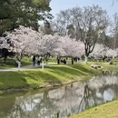 合肥旅游 缩略图 4