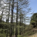 宁波旅游 缩略图 7