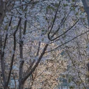 合肥旅游 缩略图 5
