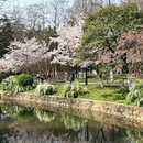 合肥旅游 缩略图 10