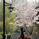 合肥旅游 缩略图 13