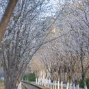 合肥旅游 缩略图 6