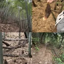 宁波旅游 缩略图 11