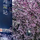 合肥旅游 缩略图 1