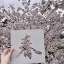 绍兴旅游 缩略图 5