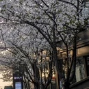 合肥旅游 缩略图 7