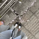 绍兴旅游 缩略图 6