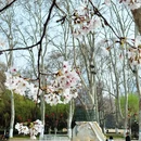 合肥旅游 缩略图 4
