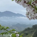 绍兴旅游 缩略图 1
