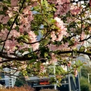 合肥旅游 缩略图 8