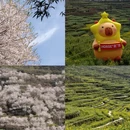 绍兴旅游 缩略图 1