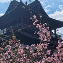 绍兴旅游 缩略图 7