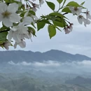 绍兴旅游 缩略图 2