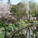 合肥旅游 缩略图 7