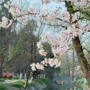 合肥旅游 缩略图 6